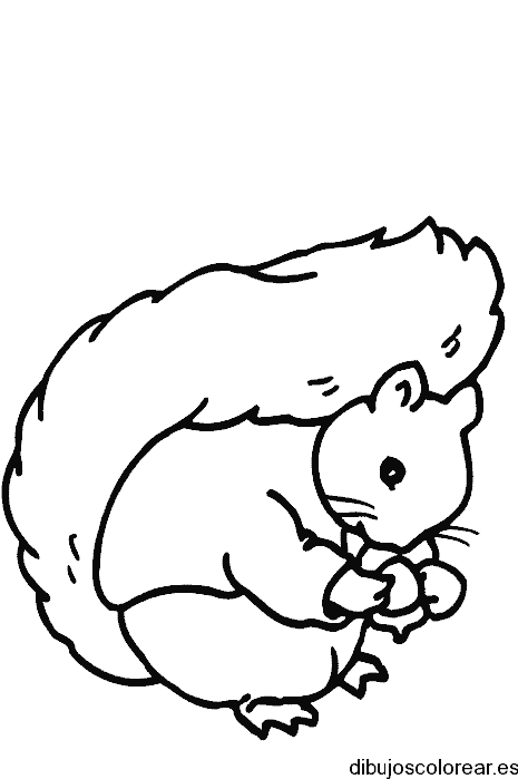 Dibujo de una pequeña ardilla