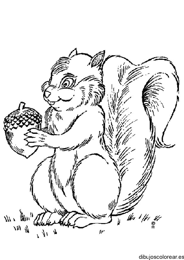 Dibujo de una ardilla con una nuez