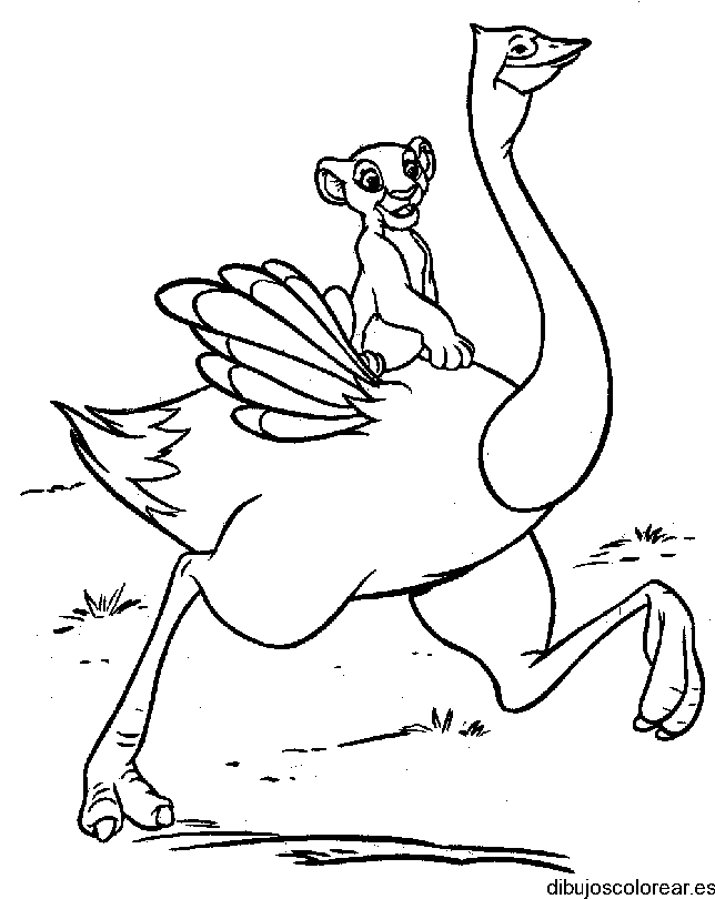Dibujo de una avestruz y un león