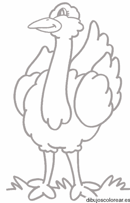 Dibujo de una avestruz