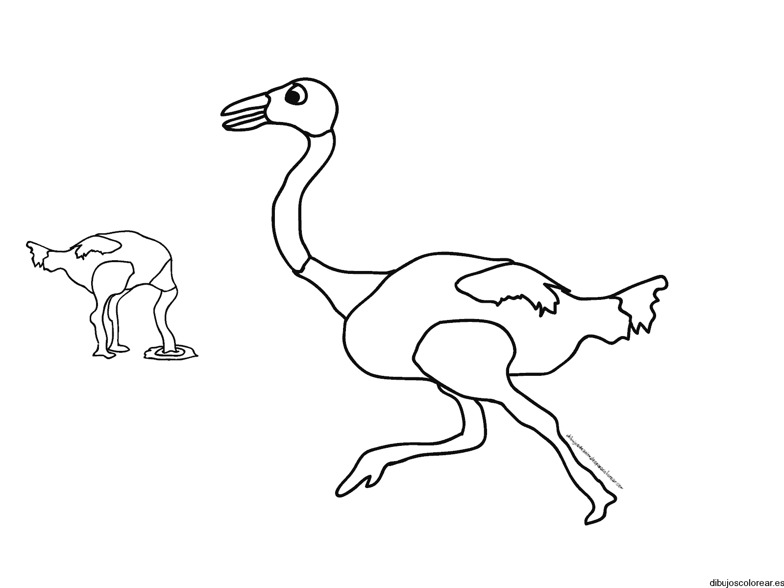 Dibujo de dos avestruces