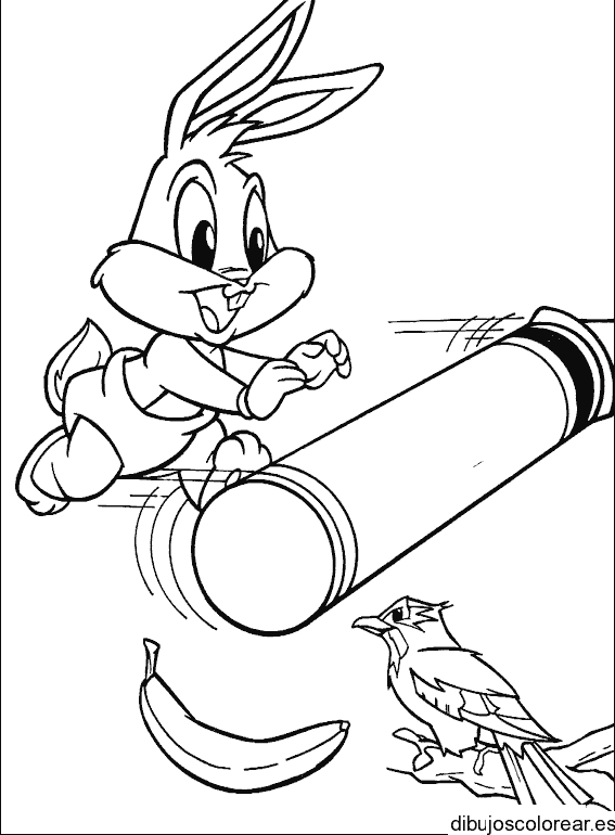 Dibujo de un conejo y un pájaro