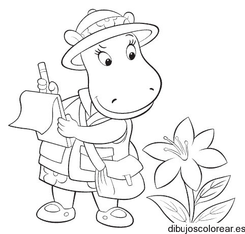 Dibujo de una hipopótamo