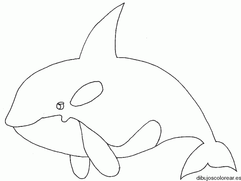 Dibujo de un tiburón