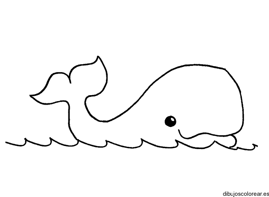 Dibujo de pequeña ballena flotando