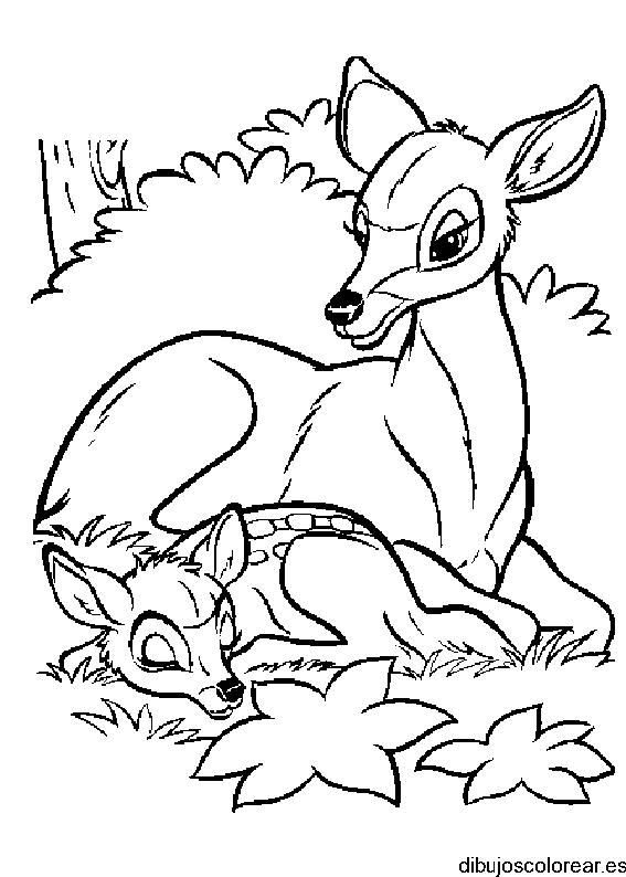 Dibujo de una pareja de cervatillos