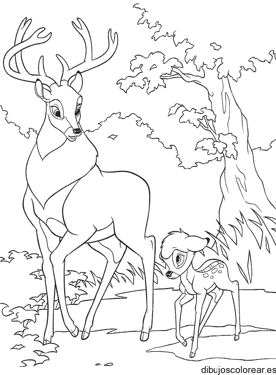 Dibujo de dos venados paseando por el bosque