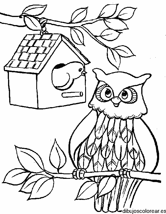 Dibujo de un búho y un pájaro
