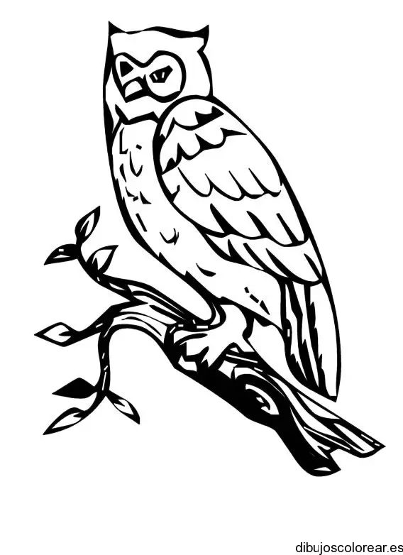 Dibujo de la silueta de un búho