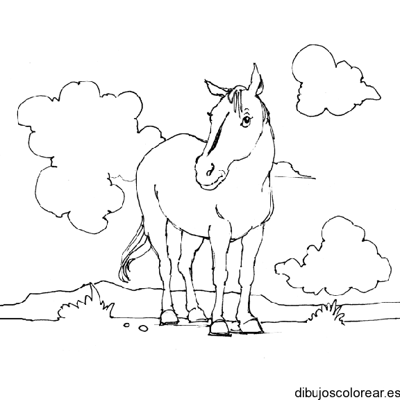 Dibujo de un caballo en la pradera