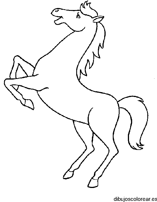 Dibujo de un caballo haciendo malabares