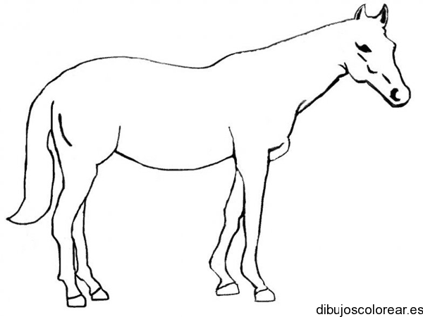 Dibujo de la silueta de un caballo