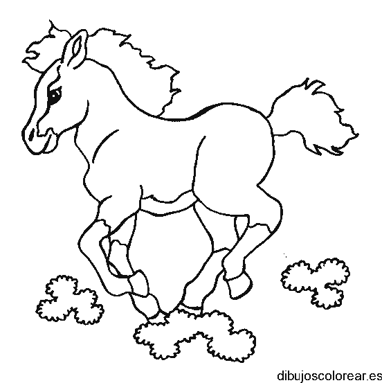 Dibujo de un caballo en el pasto