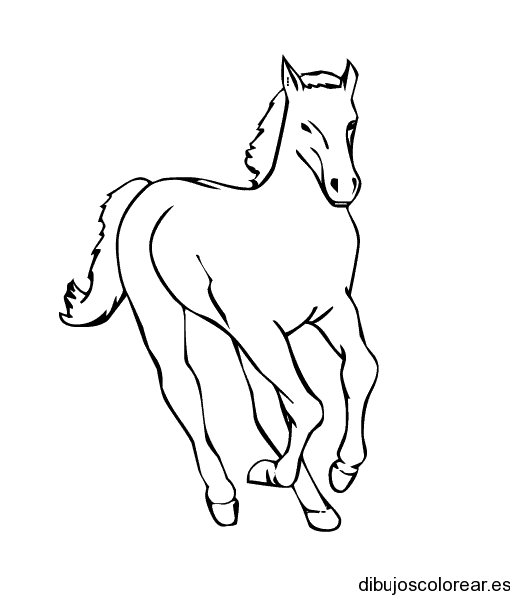 Dibujo de un caballo blanco