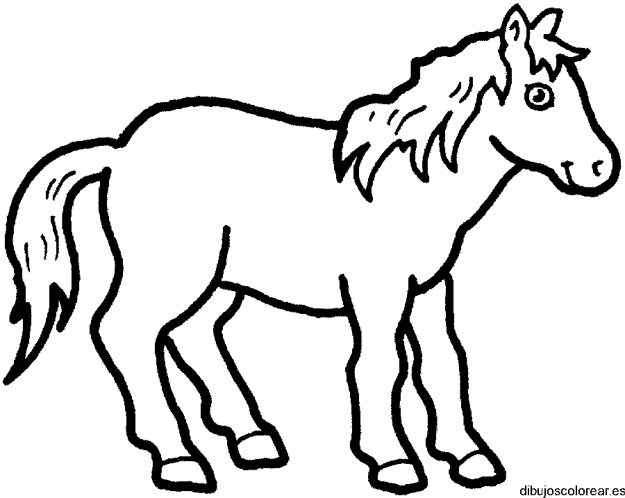 Dibujo de un caballo sonriendo