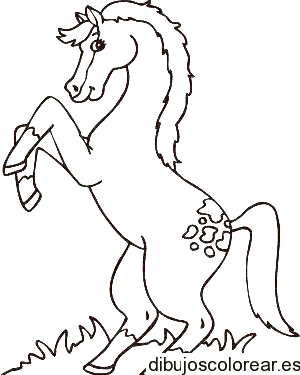 Dibujo de un caballo 