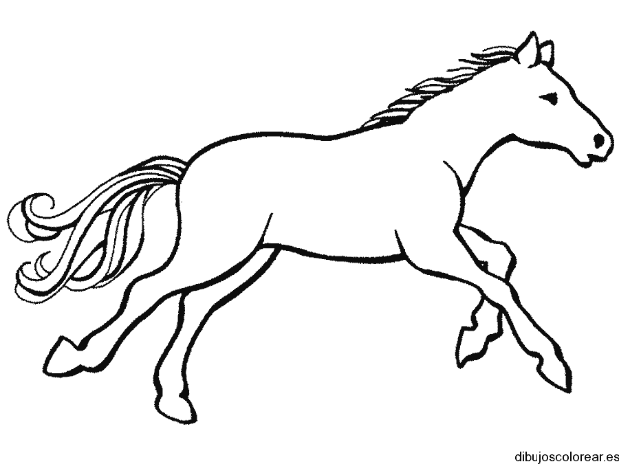 Dibujo de un caballo trotando