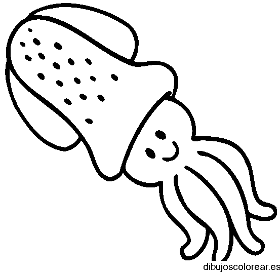 Dibujo de un calamar