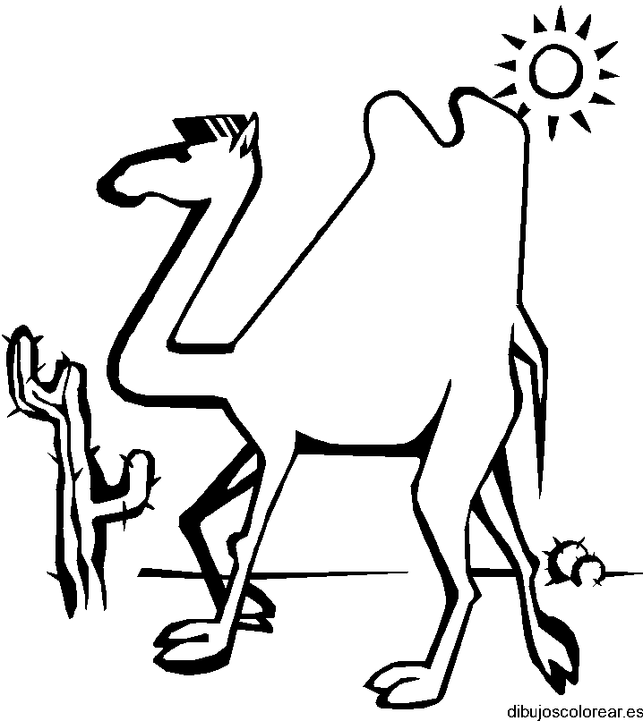 Dibujo de camello bajo el sol