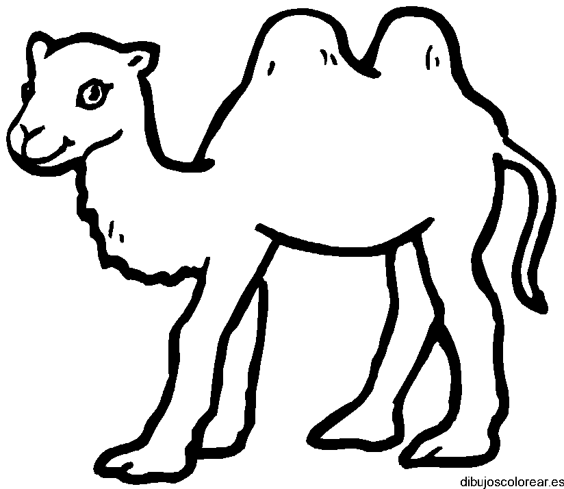 Dibujo de un camello sonriendo