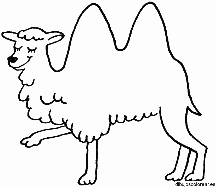 Dibujo de un camello dormido