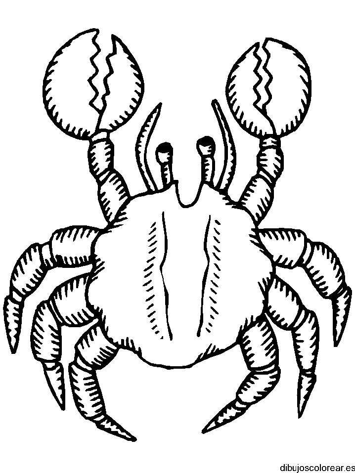 Dibujo de un cangrejo