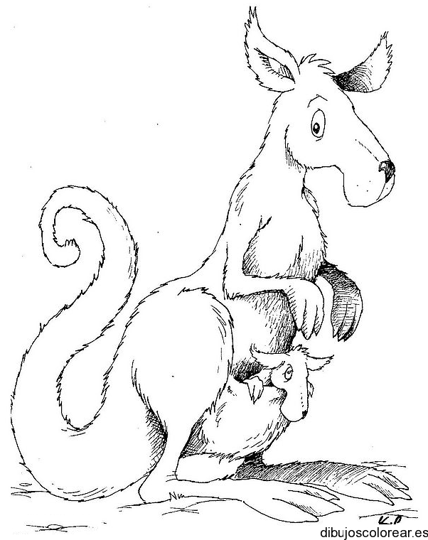 Dibujo de mamá canguro