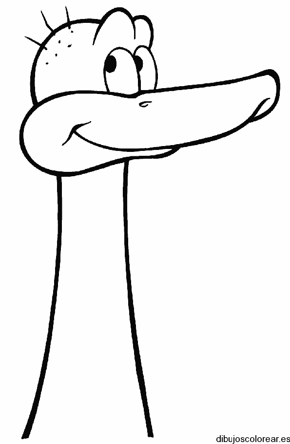 Dibujo cara de pato