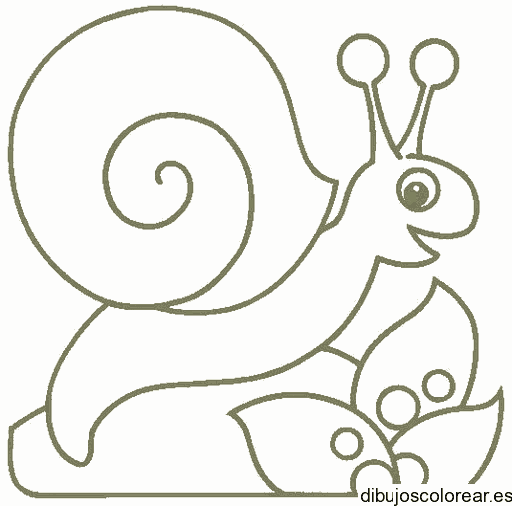 Dibujo de un pequeño caracol 