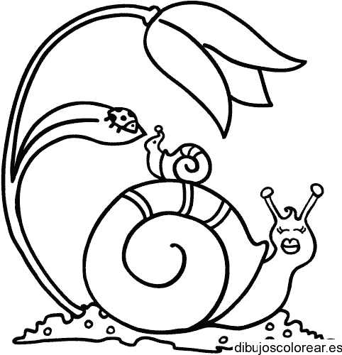 Dibujo de un caracol y una flor
