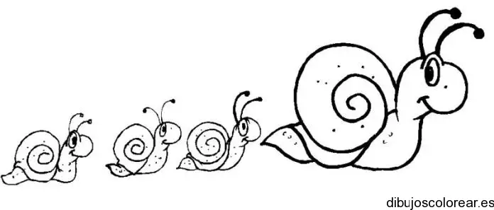 Dibujo de caracoles