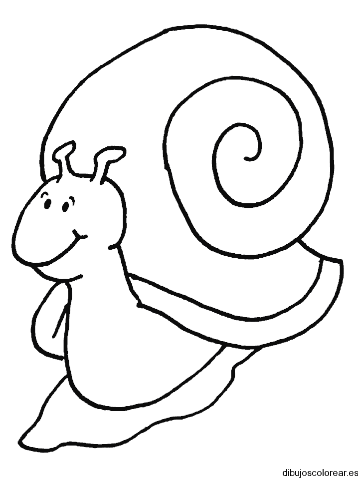 Dibujo de un caracolito