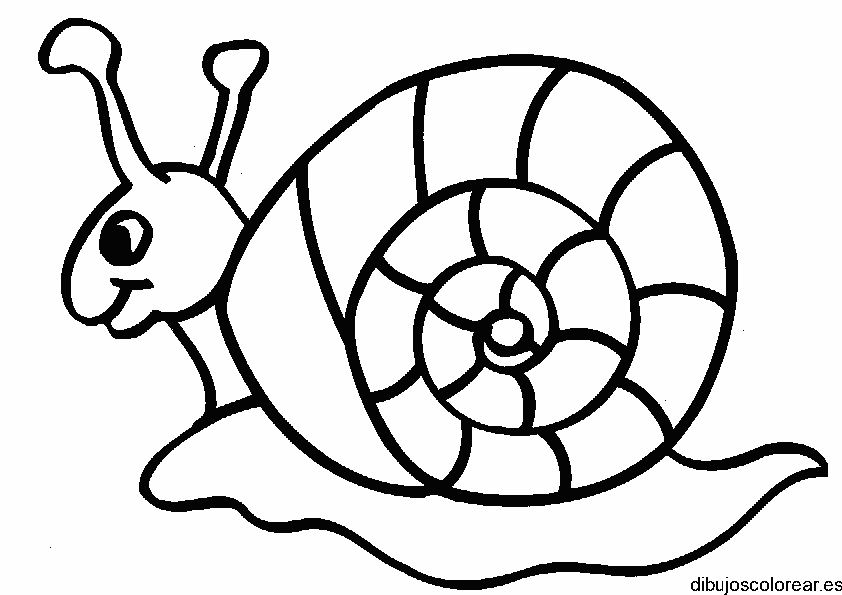 Dibujo de un caracol sonriendo