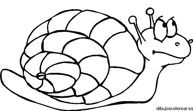 Dibujo de un caracol asustado