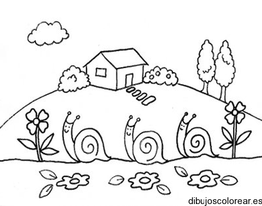 Dibujo de tres caracoles