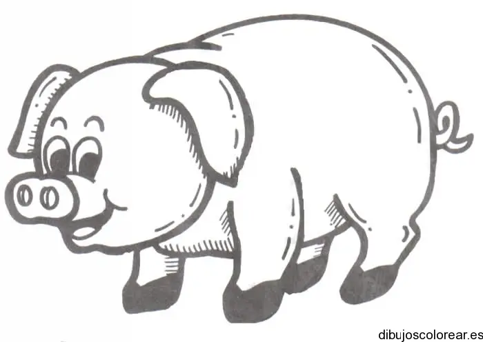 Dibujo de un cerdo sonriendo