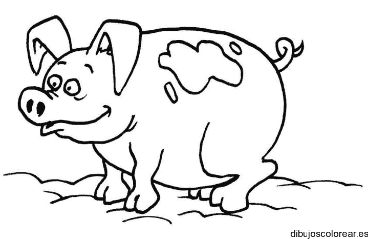 Dibujo de un cerdito