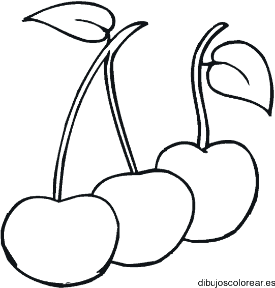 Dibujo de tres cerezas en ramo