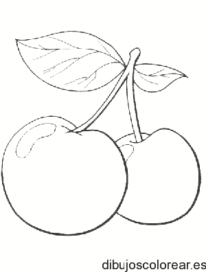 Dibujo de dos cerezas