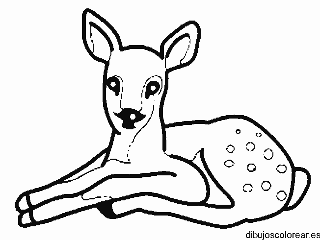 Dibujo de un cervatillo en el bosque