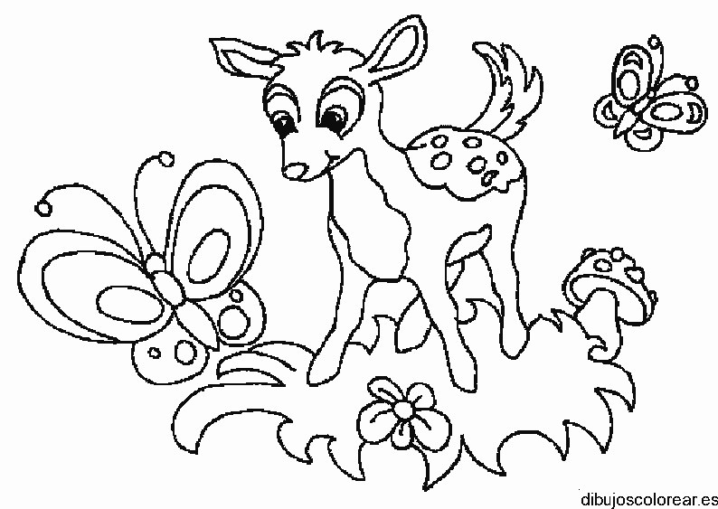Dibujo de un cervatillo y una mariposa