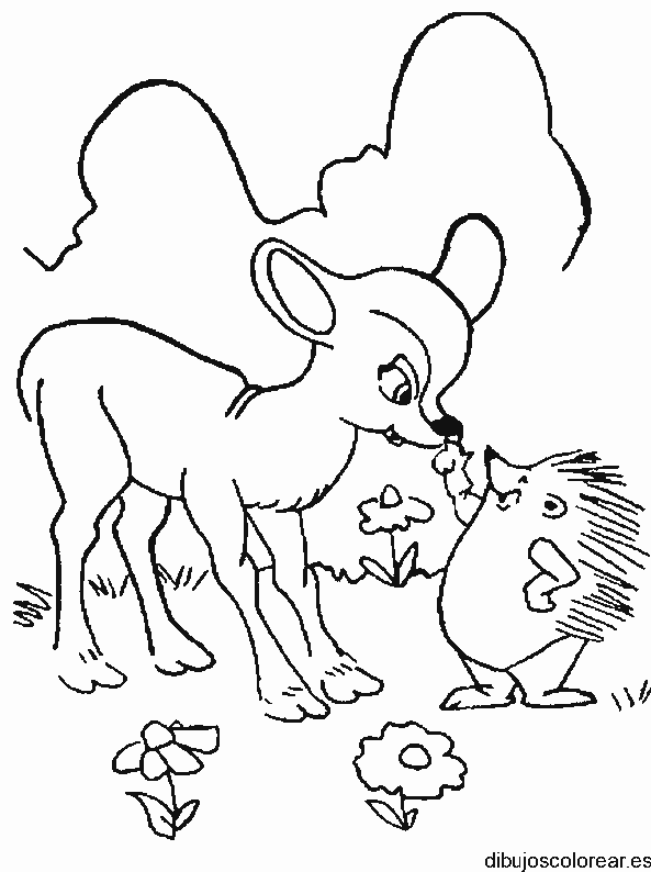 Dibujo de un cervatillo y un puerco espín