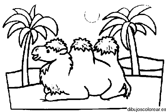 Dibujo de un camello y palmeras