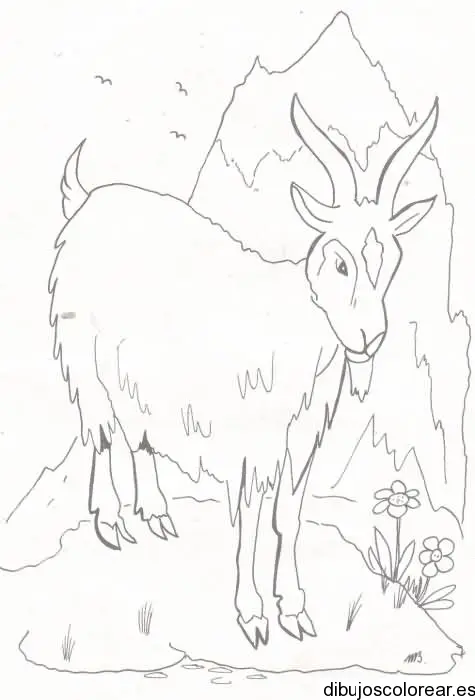 Un chivo
