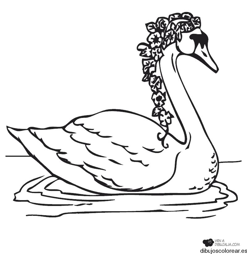 Dibujo de un cisne con flores