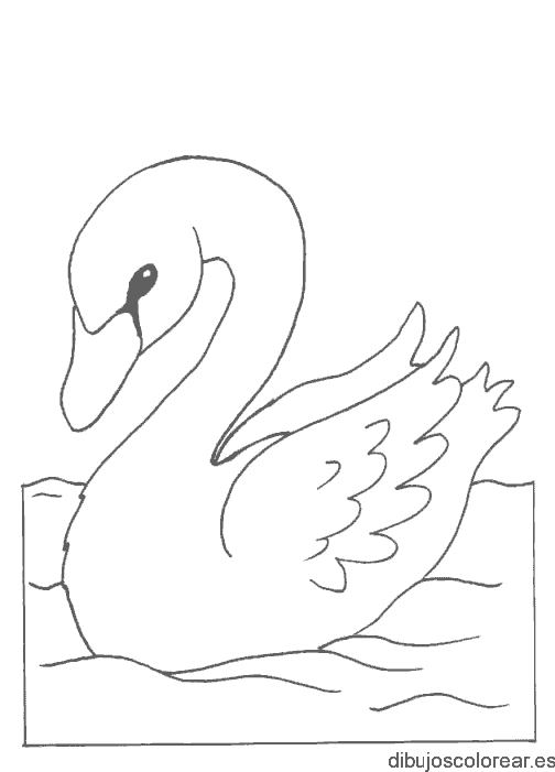 Dibujo de un pequeño cisne
