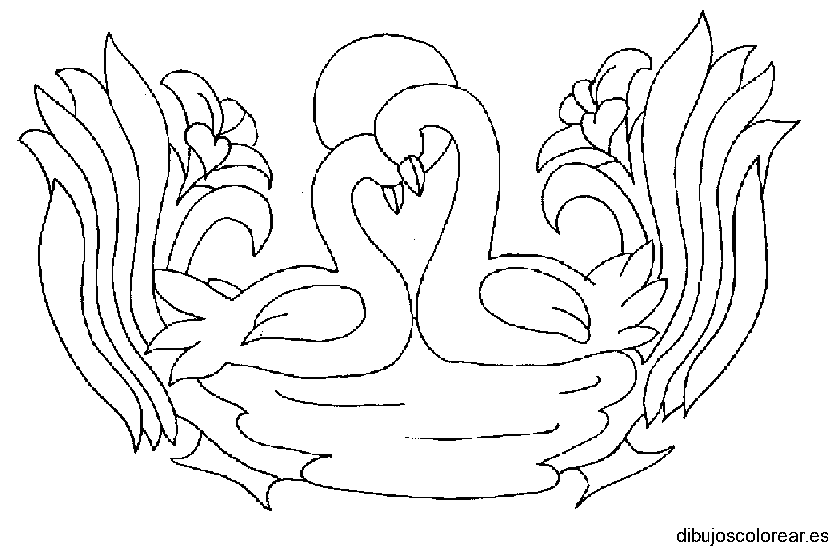 Dibujo de dos cisnes enamorados
