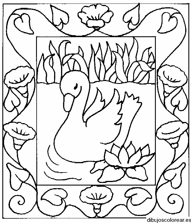 Dibujo de un cisne en un marco