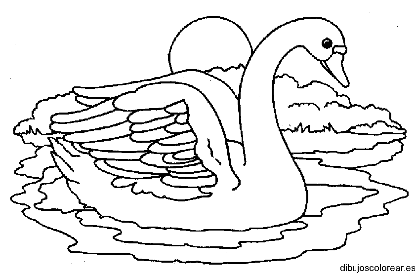 Dibujo de un cisne bajo la luna