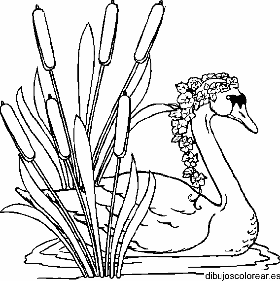 Dibujo de un cisne con corona de flores